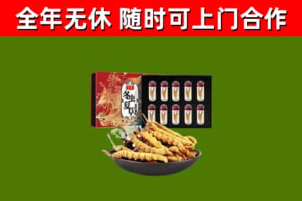 南平回收冬虫夏草价格