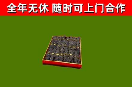 南平回收海参